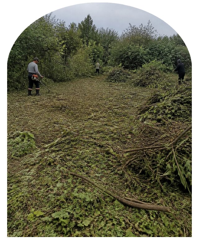 Расчистка заросшего участка в Вятских Поляне от 6598 р. | Метпроект-Втс